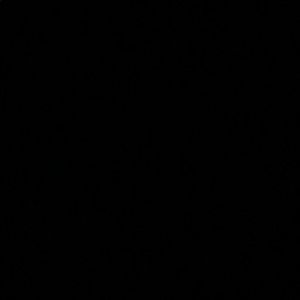 Meet your Posher, Benjamin